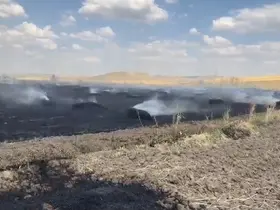 Yozgat’ta örtü yangını tarım arazilerine sıçradı
