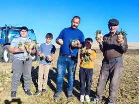Yozgat’ta pancar mesaisi sürüyor, 6 aylık emeğin ürünleri yüzleri güldürüyor
