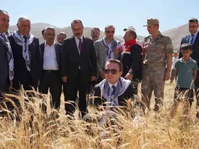 Yüksekova Kaymakamı Volkan Hülür Büyükçiftlik’te buğday hasadına katıldı
