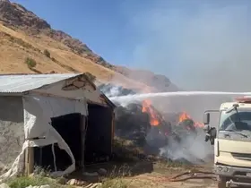Yüksekova’da 20 bin bağ ot kül oldu
