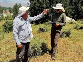 Yüksekova’da "Planlı Tarımsal Üretim" için saha kontrolleri sürdürülüyor
