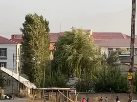Yüksekova’da şiddetli rüzgar hayatı olumsuz etkiledi
