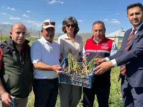 Yüksekova’da tarımda yeni dönem: Yoncalı köyünde ilk ticari salep hasadı yapıldı
