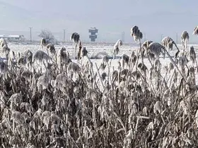 Yüzeyi buz tutan Kaz gölü kış manzarası ile mest etti
