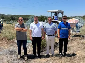 Zeytinler büyüyor, Milas kazanıyor
