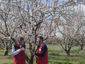 Zirai don uyarısı sonrası hasar tespit çalışması yapıldı
