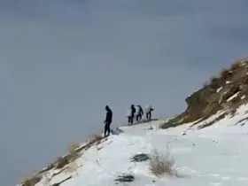 Zirveye şefkat tırmanışı: Yüksekova’da dağ keçileri için metrelerce karı aştılar
