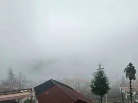 Zonguldak’ta sis etkili oldu
