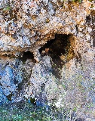 Anne ayı ve yavruları inlerinde dron kamerasıyla görüntülendi 