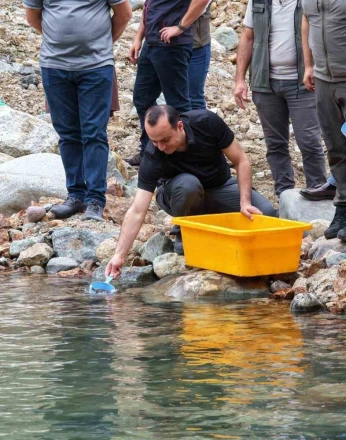 Artvin’de 30 bin kırmızı benekli alabalık yavrusu derelerle buluştu 