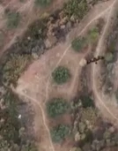 Bakan Yumaklı: "Hatay'da kaçak av yapan 9 kişinin yakalandı"