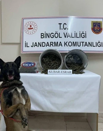 Bingöl’de 2 kilo esrar ele geçirildi: 1 tutuklama