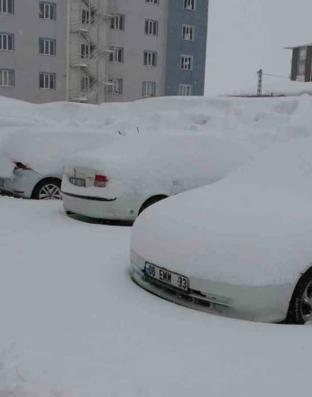 Bitlis’te mart karı 288 köy yolu ulaşıma kapattı 