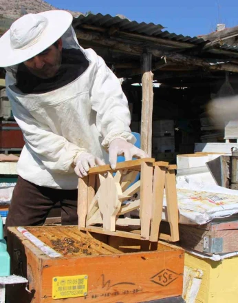 Bu seçimde kazananı ’arılar’ belirleyecek 