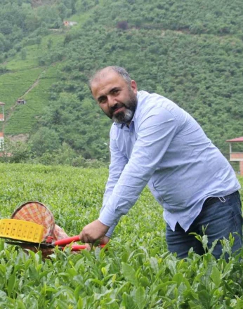 Çay üreticileri yaş çay alım fiyatındaki artış sonrası kuru çaya da zam bekliyor 