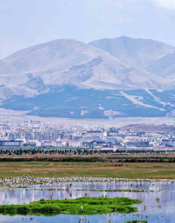 Erzurum ve Bakü petrol hattında 1921’de kritik duraklama