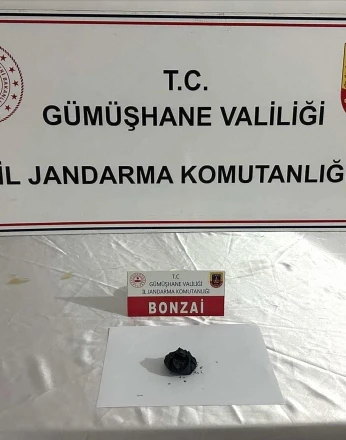 Gümüşhane’de jandarmadan uyuşturucu operasyonu