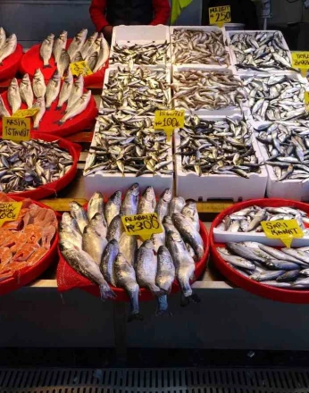 Hamside beklenen son 