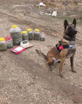 Karaman’da uyuşturucu operasyonu: 1 gözaltı