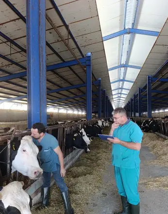 Karapınar'da hastalıktan ari işletmelerde tüberküloz taraması