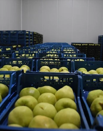 Kestel'e 400 milyon liralık dev meyve tesisi kuruluyor