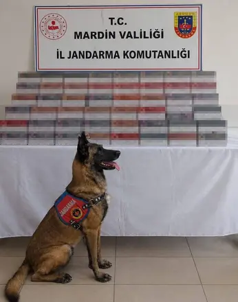 Mardin’de 8 milyon lira değerinde kaçak ürün ele geçirildi