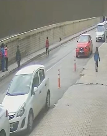Öğrencilerin kurtarmaya çalıştığı yavru kuşu karga kaptı 
