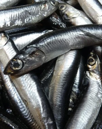 Savaş halindeki ülke ihracatta ilk sırayı aldı 