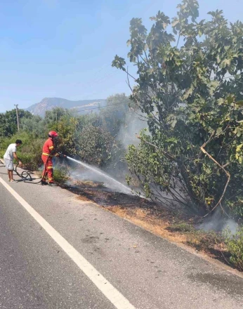 Ula’da yol kenarında başlayan alevler korkuttu