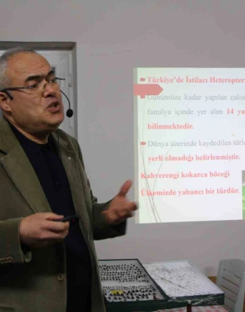 Uzmanı kahverengi kokarca için tarih verdi: "2030 yılından itibaren gündemden çıkmaya başlayacak" 