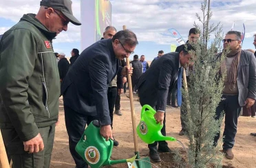 11 Kasım Milli Ağaçlandırma Günü’nde 20 bin fidan dikildi 