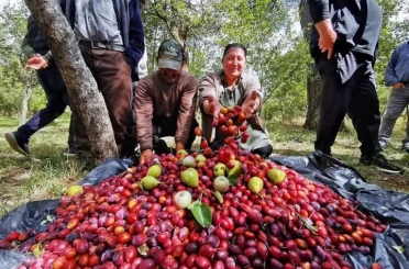 3.Çıldır Cancur Festivali Yapıldı 