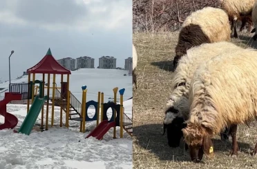 40 kilometre arayla iki mevsim: Yüksekova’da kar, Esendere’de bahar mesaisi 