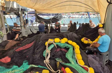 40 yıllık balıkçıdan müjde: Denizde balık patlaması bekleniyor 