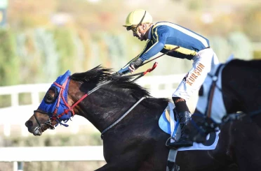 45. Cumhuriyet Koşusu ile 87. Cumhurbaşkanlığı Koşusu yapıldı 