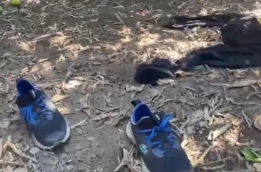 5 yıldızlı otele silahla saldırıp bahçede kıyafet değiştirmişler 