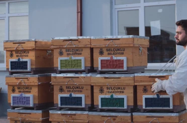 % 50 Hibeli Arılı Kovan Desteği’nde 4. dönem başvuruları başladı