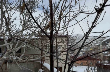 52 yılın en kurak zamanını geçiren çiftçi yağışlarla sevindi: İkinci üründe su sıkıntısı yaşanmayacak 