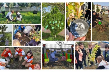 81 ildeki okullarda fidanlar, ‘Atatürk ve Vatan Sevgisi’ mesajlarıyla toprağa bırakıldı 