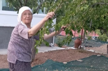 85 yaşındaki çift, geleneksel yöntemlerle dut pekmezi üretimini sürdürüyor 