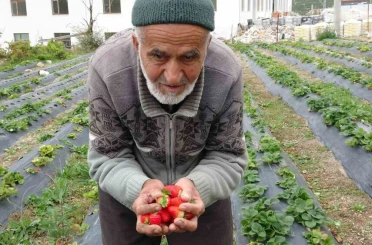 85 yaşındaki İbrahim dede "Hayır Bahçesi"nde yetiştirdiği meyve ve sebzeleri ücretsiz ikram ediyor 
