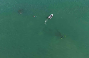 92 yıl yıl Ordu’da batmıştı: Rus şilebi dron ile görüntülendi, dalgıçlar gemiyi ilk kez keşfetti 