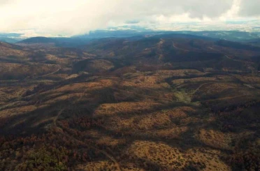 953 hektar kül oldu, Bursa’yı yeniden yeşertecek 300 bin fidan için ilk adım atıldı 