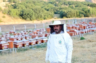 Abadan Bal Ormanı’nda yeni sezon bal hasadı 