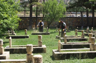 Abdal Musa Etkinlikleri için kapsamlı hazırlık 