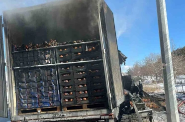 Adana-Pozantı Otoyolu’nda narenciye yüklü tır alevlere teslim oldu 