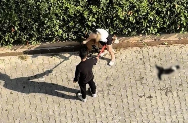 Adana’da kediyi parçalayan pitbullun sahibine 95 bin lira ceza 