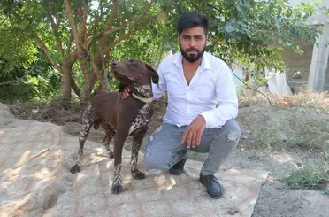 Adana’da köpeğe sopayla şiddet güvenlik kamerasında