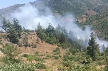 Adana’da orman yangını 