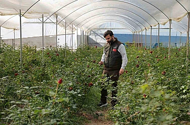 Adana’da sevgililerin gülleri dalında kurudu 